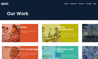 Screenshot of Argaric website