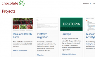 Screenshot of Chocolate Lily Web Projects website